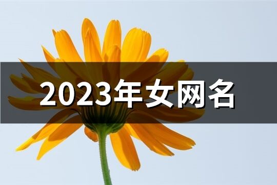 2023年女网名(共1273个)