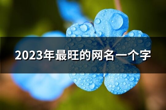 2023年最旺的网名一个字(共208个)