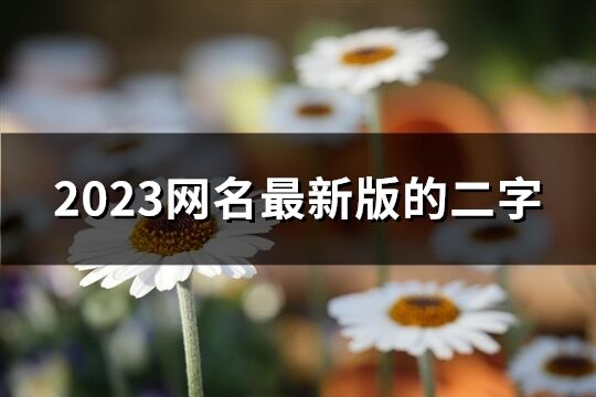 2023网名最新版的二字(2886个)