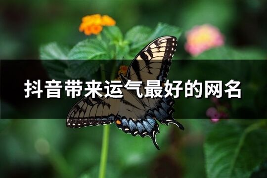 抖音带来运气最好的网名(优选386个)