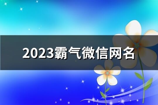 2023霸气微信网名(精选612个)