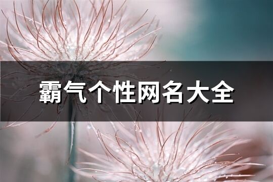 霸气个性网名大全(优选394个)