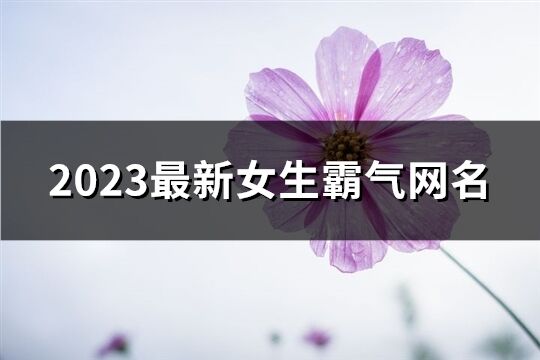 2023最新女生霸气网名(共723个)