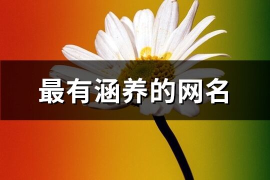 最有涵养的网名(优选1075个)