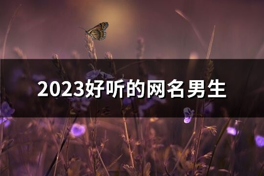 2023好听的网名男生(优选854个)