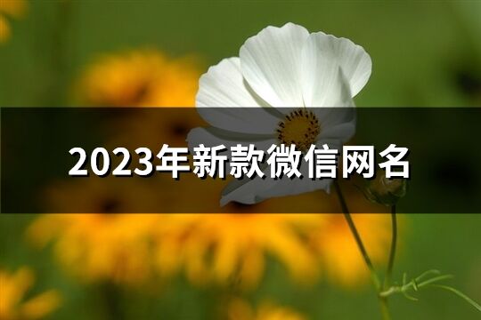 2023年新款微信网名(优选2955个)