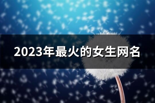 2023年最火的女生网名(共1342个)