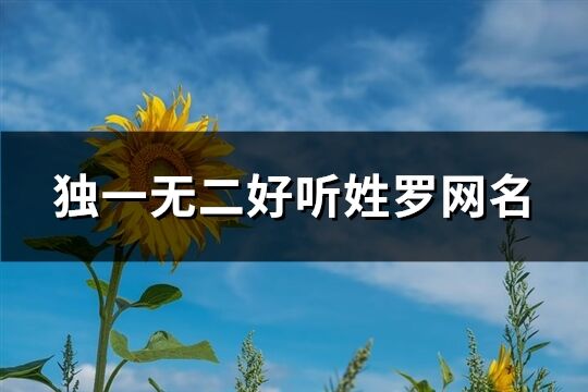 独一无二好听姓罗网名(优选75个)