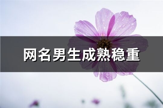 网名男生成熟稳重(976个)