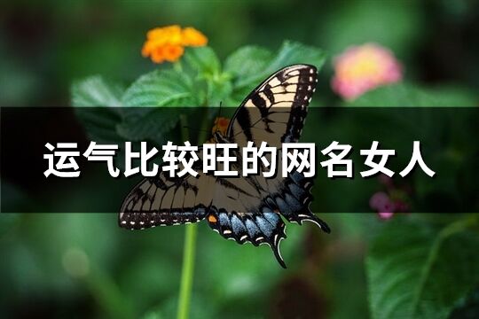 运气比较旺的网名女人(优选983个)