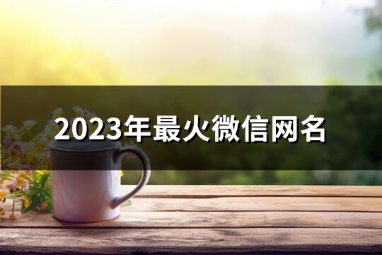 2023年最火微信网名(精选996个)