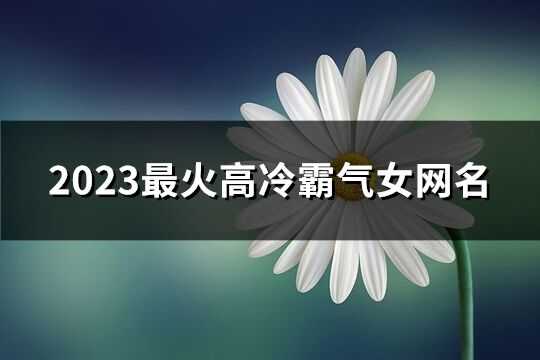 2023最火高冷霸气女网名(共856个)