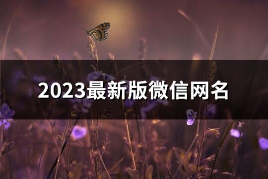 2023最新版微信网名(739个)