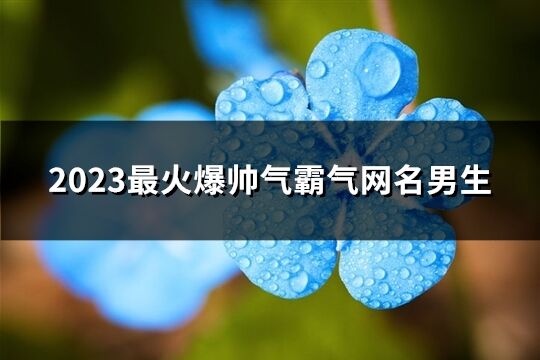 2023最火爆帅气霸气网名男生(1552个)