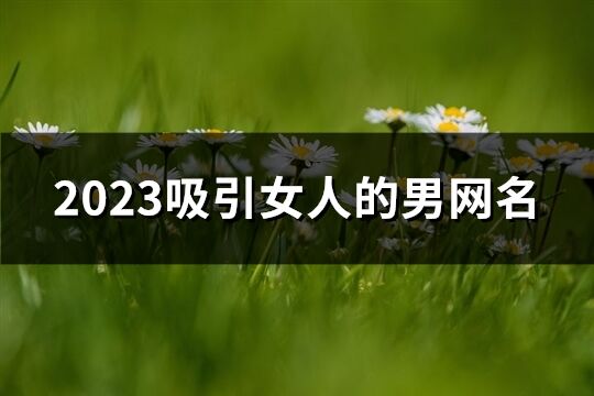 2023吸引女人的男网名(精选359个)