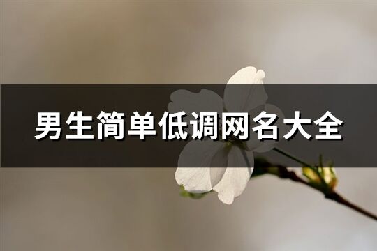 男生简单低调网名大全(精选306个)