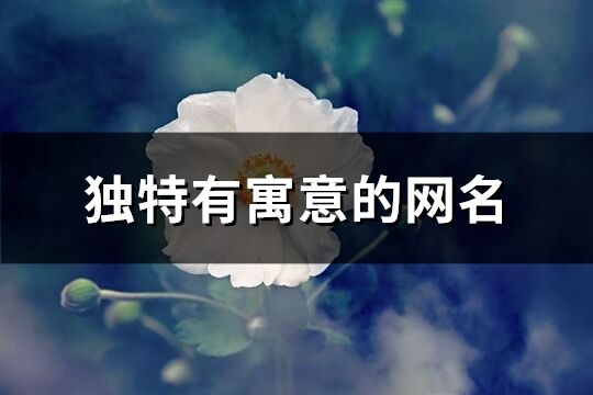 独特有寓意的网名(优选448个)