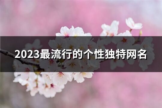 2023最流行的个性独特网名(精选498个)