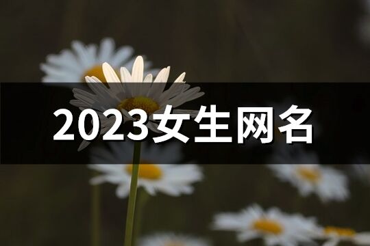 2023女生网名(精选911个)