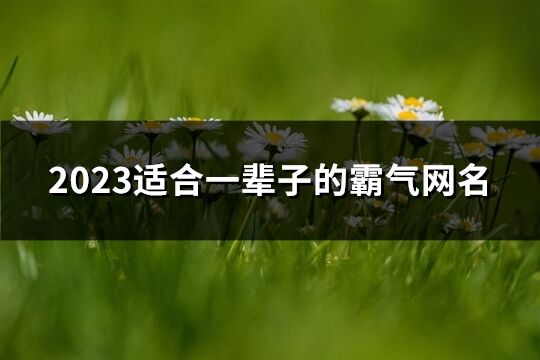 2023适合一辈子的霸气网名(精选650个)