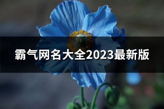 霸气网名大全2023最新版(1155个)