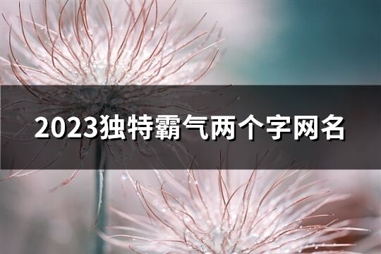 2023独特霸气两个字网名(精选868个)