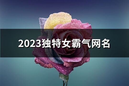 2023独特女霸气网名(1119个)