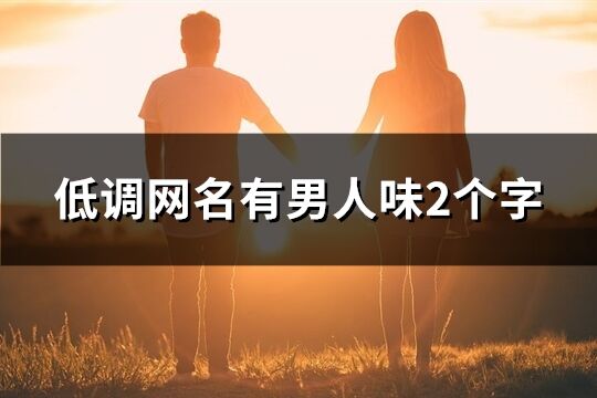 低调网名有男人味2个字(510个)