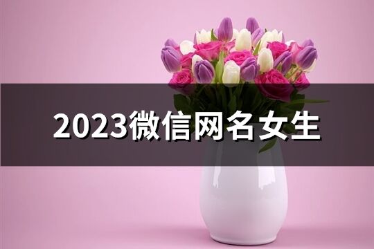 2023微信网名女生(共1457个)