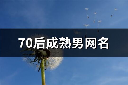 70后成熟男网名(共274个)