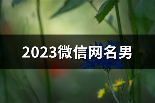 2023微信网名男(优选1657个)