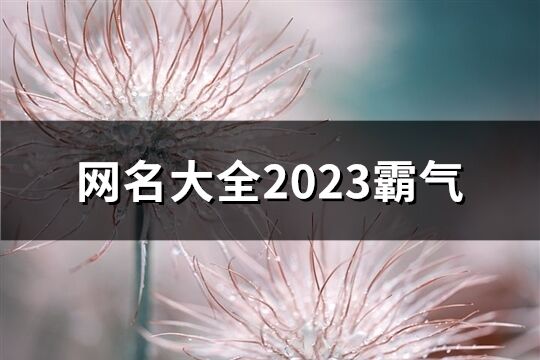 网名大全2023霸气(共685个)