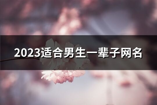 2023适合男生一辈子网名(优选827个)