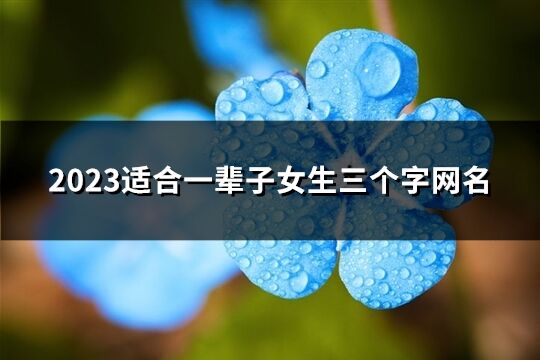 2023适合一辈子女生三个字网名(精选807个)