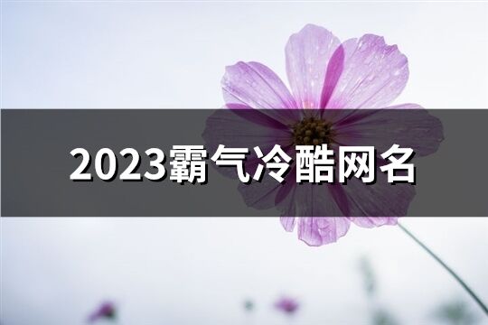 2023霸气冷酷网名(664个)