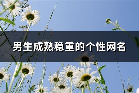 男生成熟稳重的个性网名(优选719个)