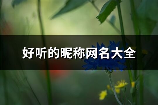 好听的昵称网名大全(1868个)