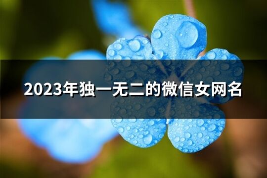 2023年独一无二的微信女网名(精选157个)