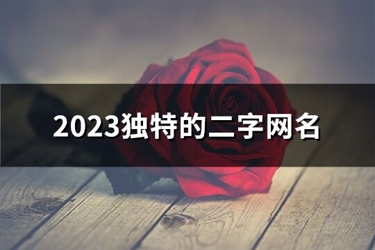 2023独特的二字网名(2164个)