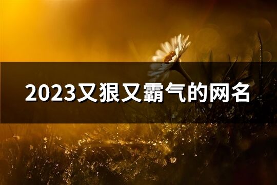 2023又狠又霸气的网名(共736个)