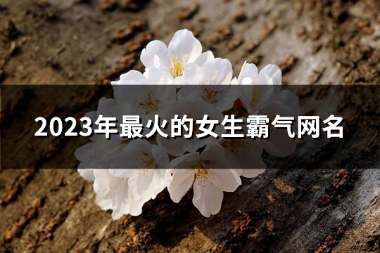 2023年最火的女生霸气网名(精选814个)