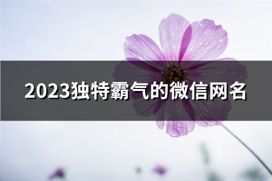 2023独特霸气的微信网名(1029个)