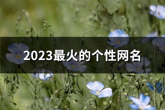 2023最火的个性网名(精选1480个)