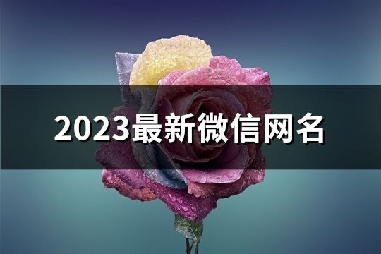 2023最新微信网名(共1336个)