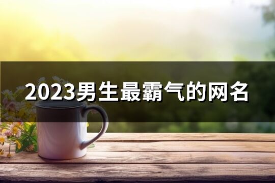 2023男生最霸气的网名(优选753个)