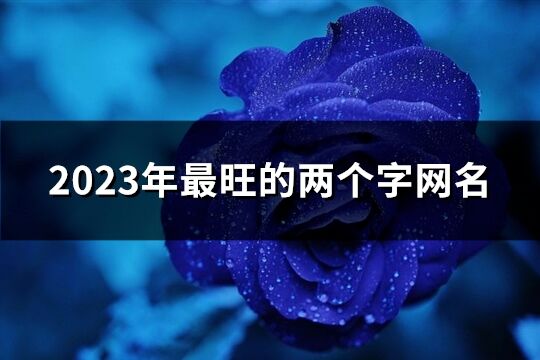 2023年最旺的两个字网名(共1318个)