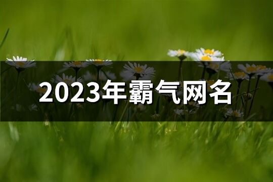 2023年霸气网名(共743个)