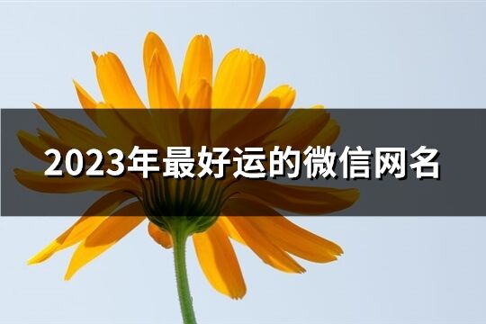 2023年最好运的微信网名(精选1120个)