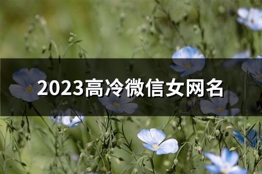 2023高冷微信女网名(优选707个)