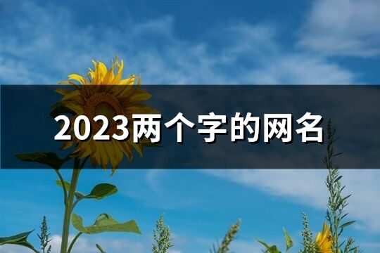 2023两个字的网名(优选986个)